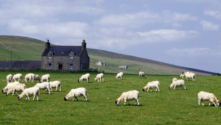 £45m worth of losses were recorded in the sheep sub-sector alone during the 12-month period