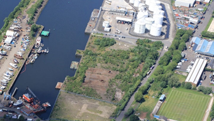 Auf dem Foto: ein künstlerischer Eindruck der vorgeschlagenen Pflanze. Bild: NRE schälen