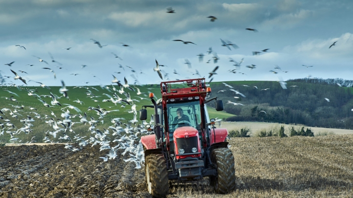 Agriculture is responsible for around 12% of the UK's annual greenhouse gas emissions