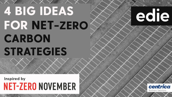 The 4 big ideas for net-zero carbon strategies