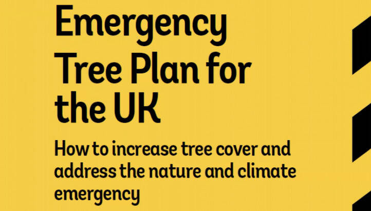 Emergency Tree Plan