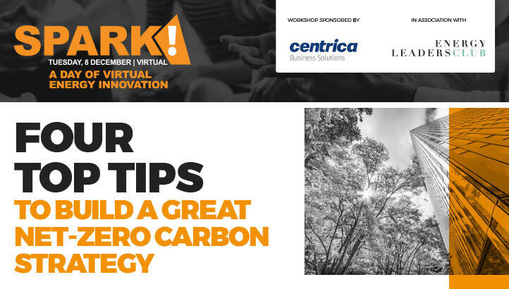 Four top tips for building a great net-zero carbon strategy