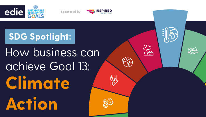 SDG Spotlight: How Businesses Can Achieve Goal 13 – Climate Action