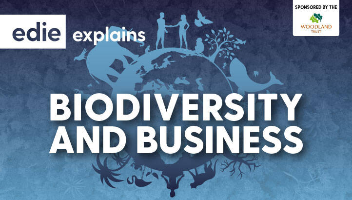 edie Explains: Biodiversity and Business