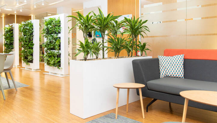 How to use plants to increase customer footfall