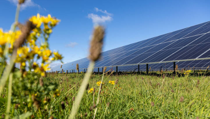 Centrica Business Solutions to build out solar and battery asset portfolio