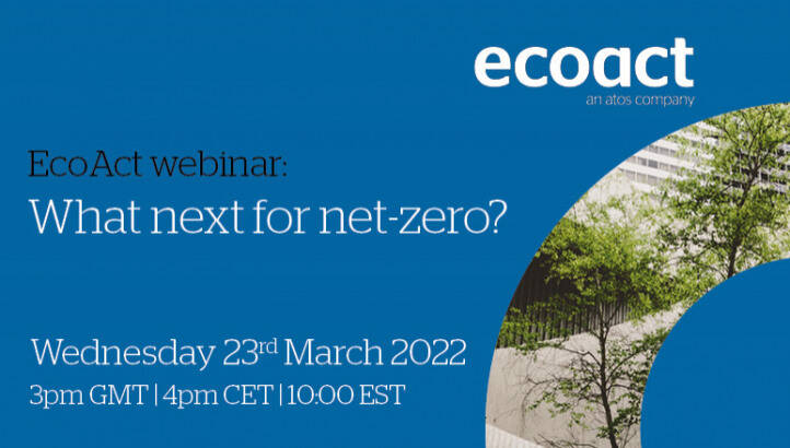EcoAct webinar: What now for net-zero?