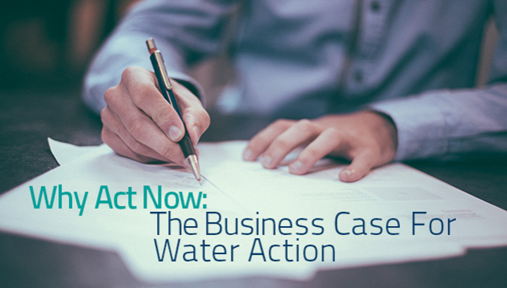 Why Act Now: The Business Case For Water Action