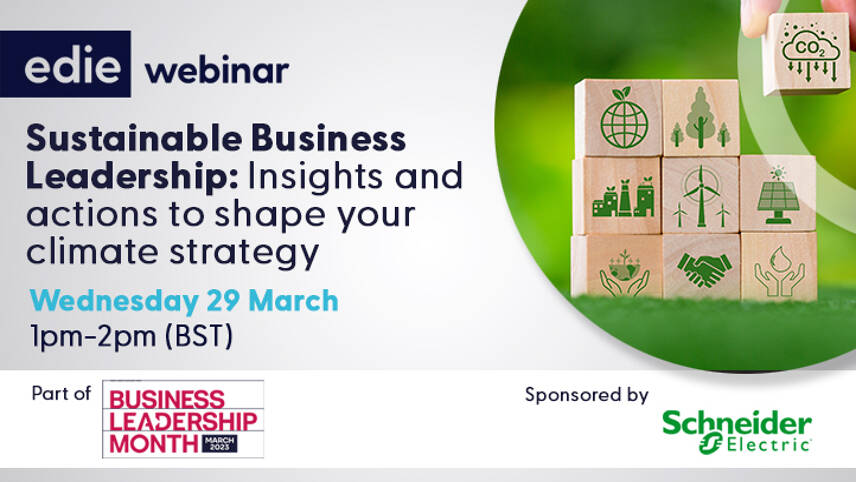 Sustainability leadership webinar: Insights and actions to shape your climate strategy