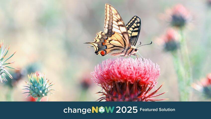 An AI library of biomimicry strategies