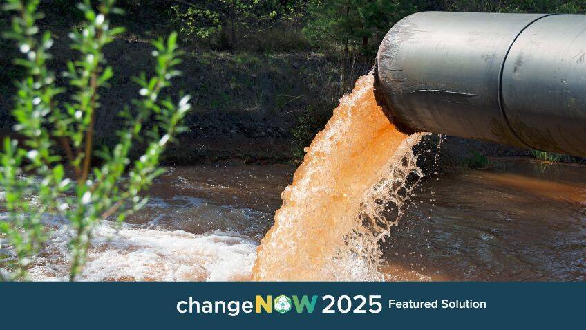 Using yeast to extract metals from wastewater