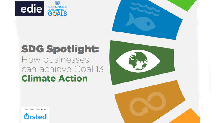 SDG Spotlight: How businesses can achieve Goal 13 – Climate Action