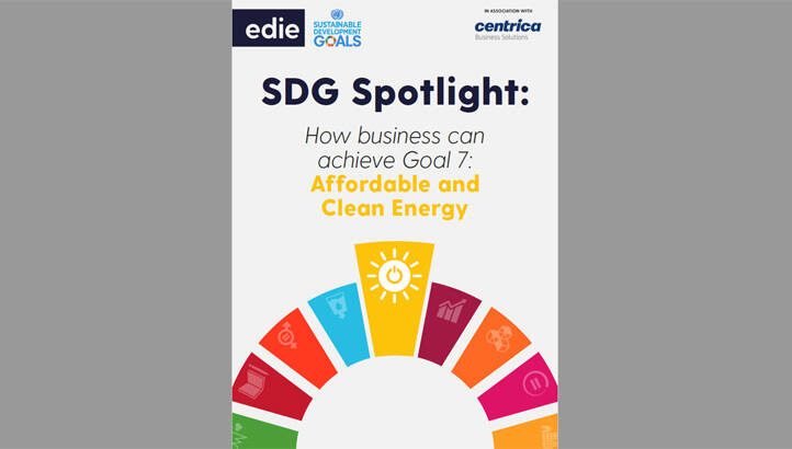 SDG Spotlight: How businesses can achieve Goal 7 – Clean and affordable energy