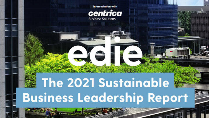 The 2021 Sustainable Business Leadership Report
