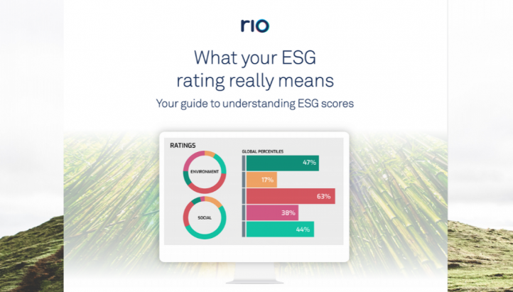 Your Guide to Understanding ESG Scores