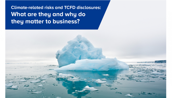eBook: What are climate-related risks and TCFD disclosures - edie