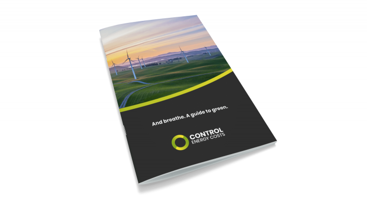 eBook guide to green energy and net zero