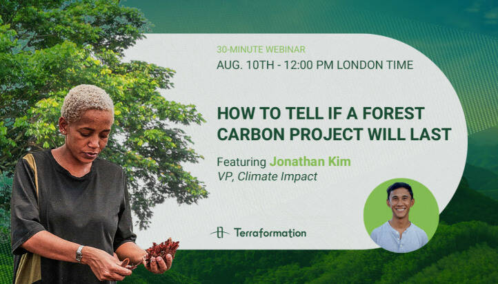 How to Tell if a Forest Carbon Project Will Last: A Terraformation Webinar