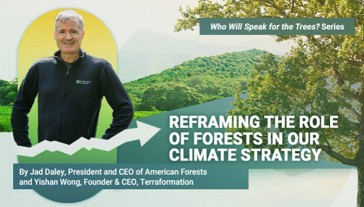 Reframing the Role of Forests in Our Climate Strategy