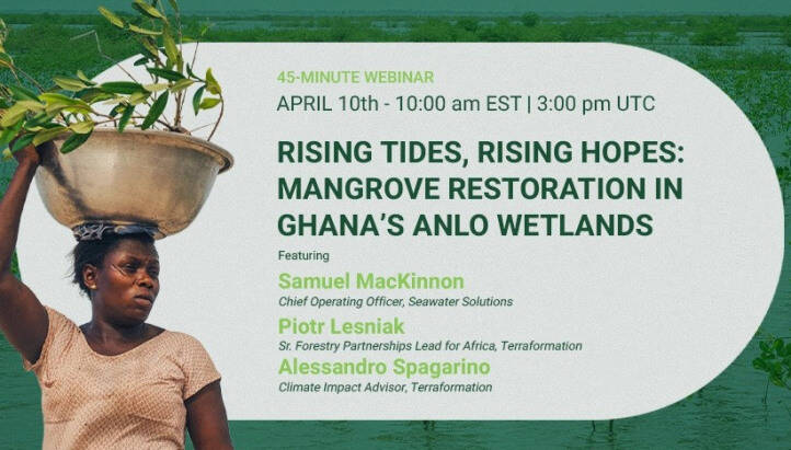 Rising Tides, Rising Hopes: Mangrove Restoration in Ghana’s Anlo Wetlands