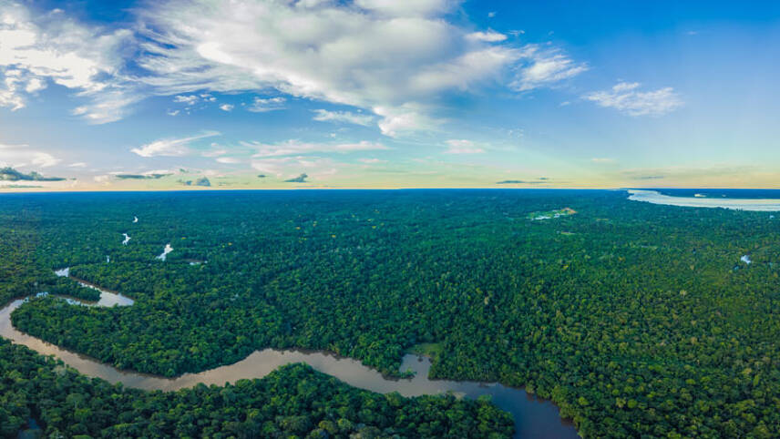Amazon summit: Rainforest nations vow to halt deforestation, but delivery plans remain scant
