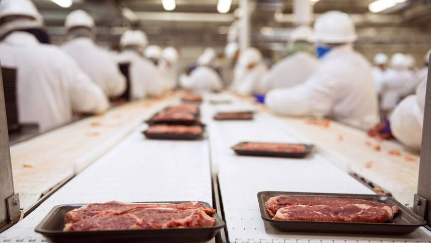 Report: Meat and dairy industry must urgently innovate towards plant-based in face of climate crisis
