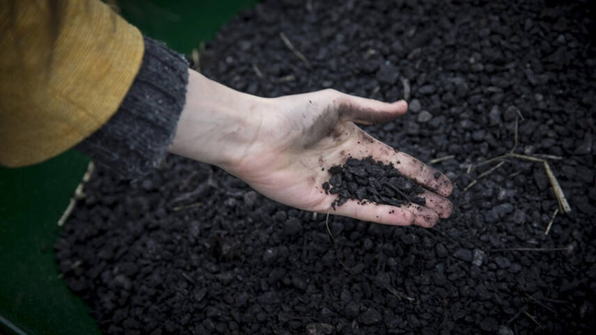 Cities bag Bloomberg funding for biochar as private sector bets on man-made carbon capture technologies