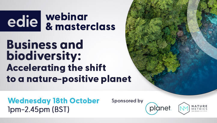 Webinar & Masterclass. Business and biodiversity: Accelerating the shift to a nature-positive planet