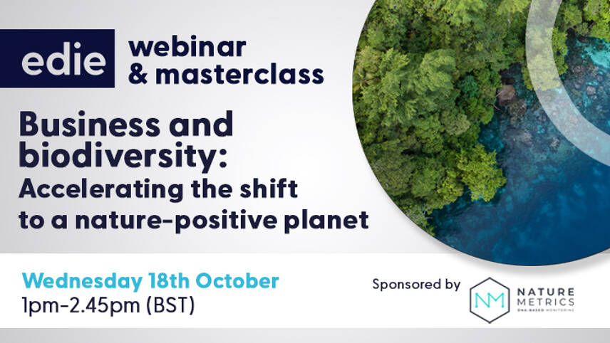 Webinar & Masterclass. Business and biodiversity: Accelerating the shift to a nature-positive planet