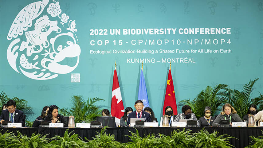 COP15: New global deal for nature agreed despite objections from developing nations