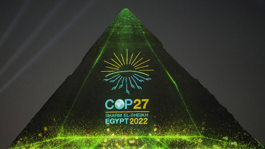 From food security to climate finance: What do green groups want from COP27?