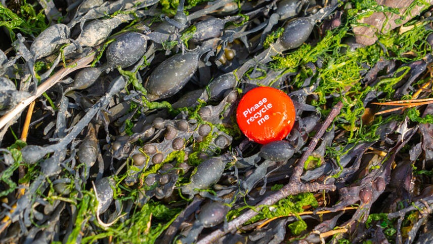 Coca-Cola, PepsiCo and McDonald’s ‘responsible for 39% of UK’s branded packaging pollution’