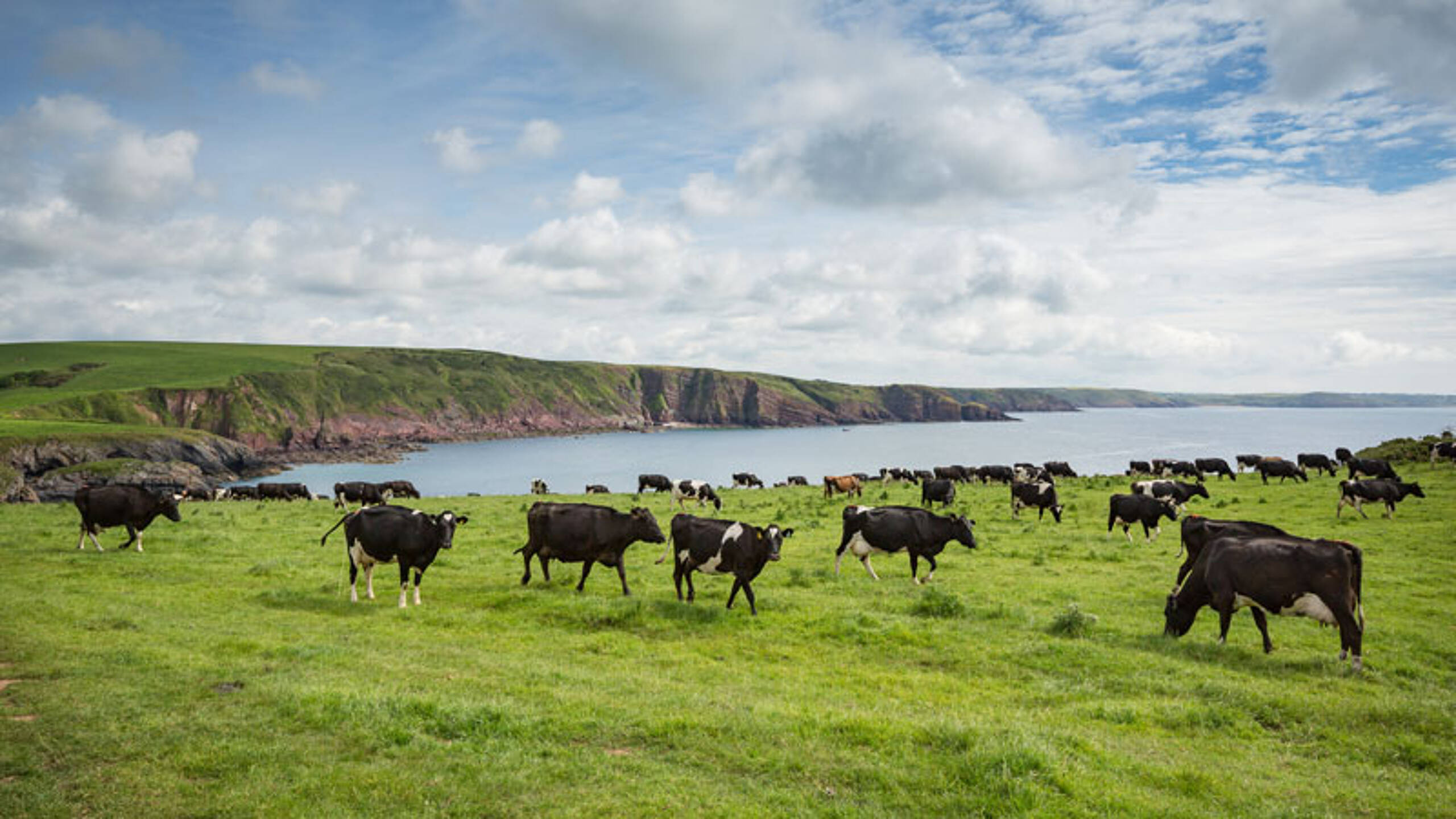 New Agriculture Act for Wales in bid to boost nature and farm resilience