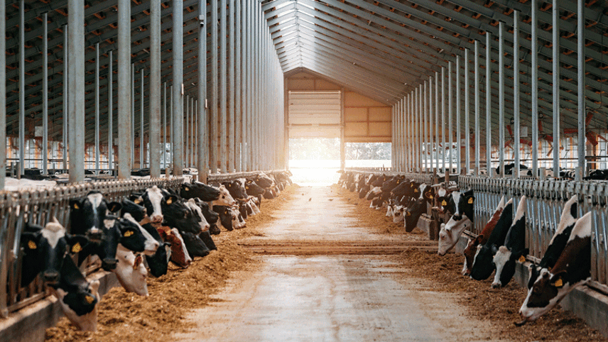 Report: Meat and dairy giants face $24bn of climate-related losses by 2030