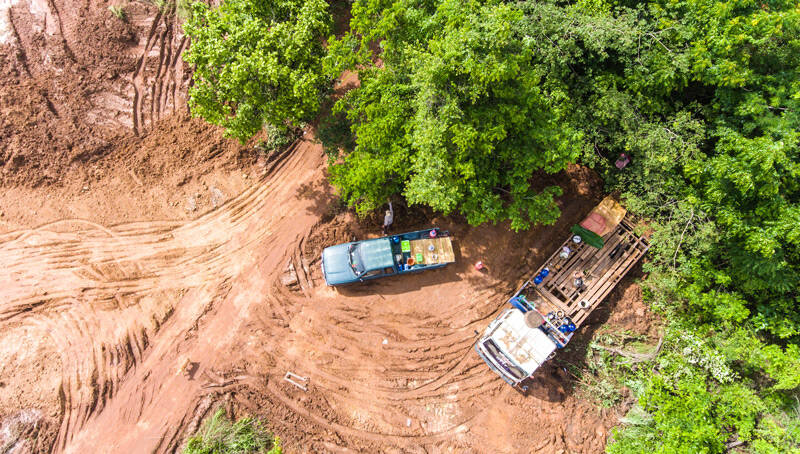 Finance and consumer goods giants ‘ignoring deforestation risks’ despite a decade of warnings