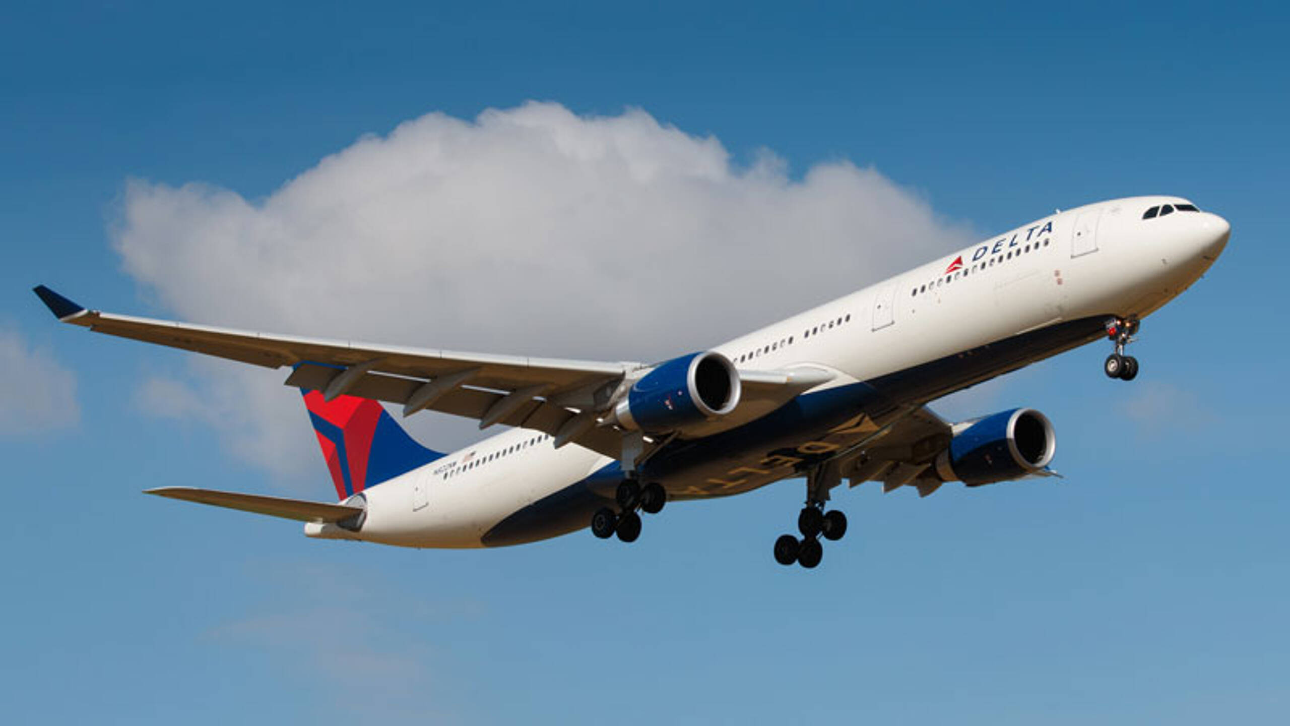 Delta Air Lines faces legal action over carbon neutrality claims