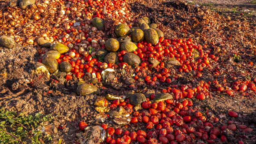 123 Pledge: WRAP urges governments and businesses to embed food waste action in climate plans