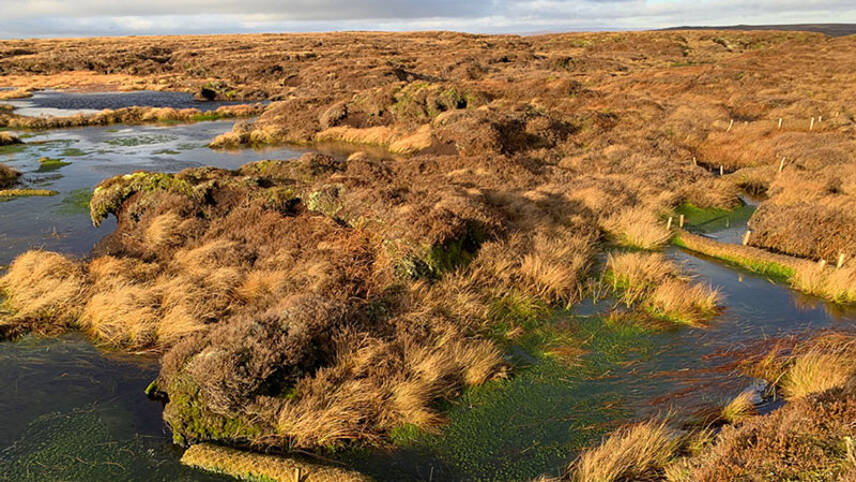 UK unveils £16m to ‘supercharge’ peatland restoration