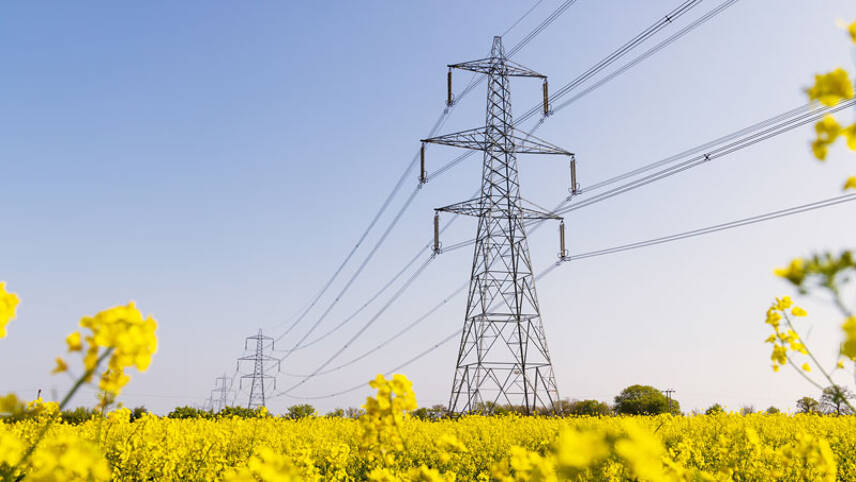 Energy transition: Government backs new masterplan to halve grid infrastructure delivery times