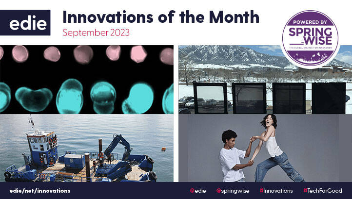 Seagrass-planting robots and AI to track pollen: The best green innovations of September 2023