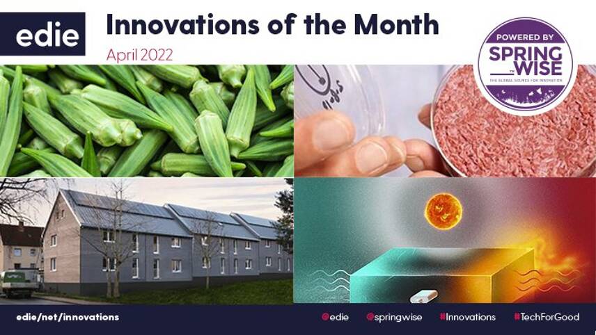 Dandelion rubber and long-duration solar energy storage: The best green innovations of April 2022