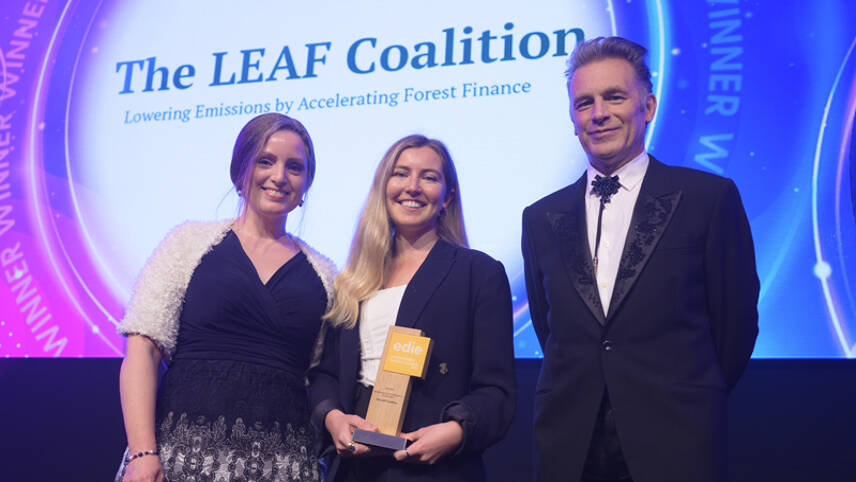 What makes a great sustainability partnership? Meet our award winners, the LEAF Coalition