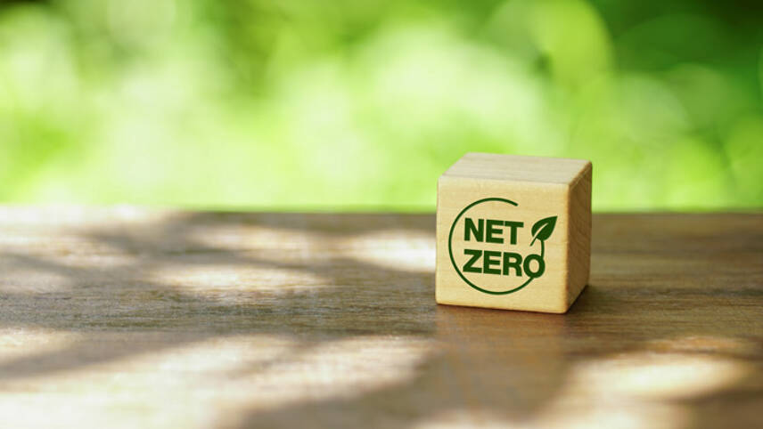Five scientific principles for operationalising net-zero pledges