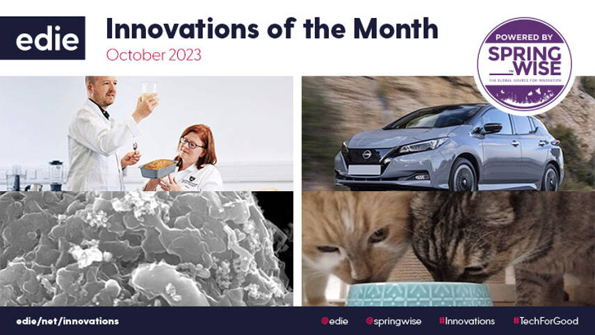 Palm oil replacements and EV battery recycling: The best green innovations of October 2023