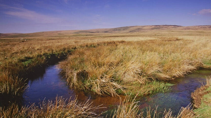 Defra invests £33m to protect peat, conserve species