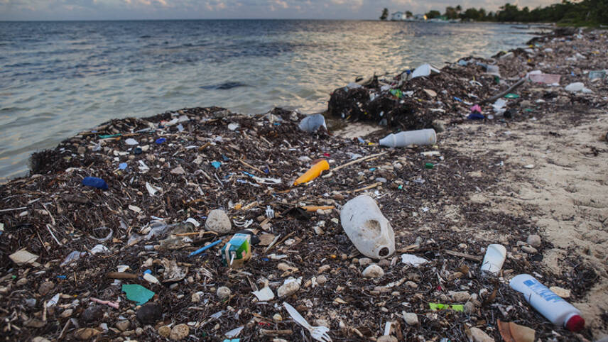 Private sector ‘faces $100bn risk from plastic pollution this decade’