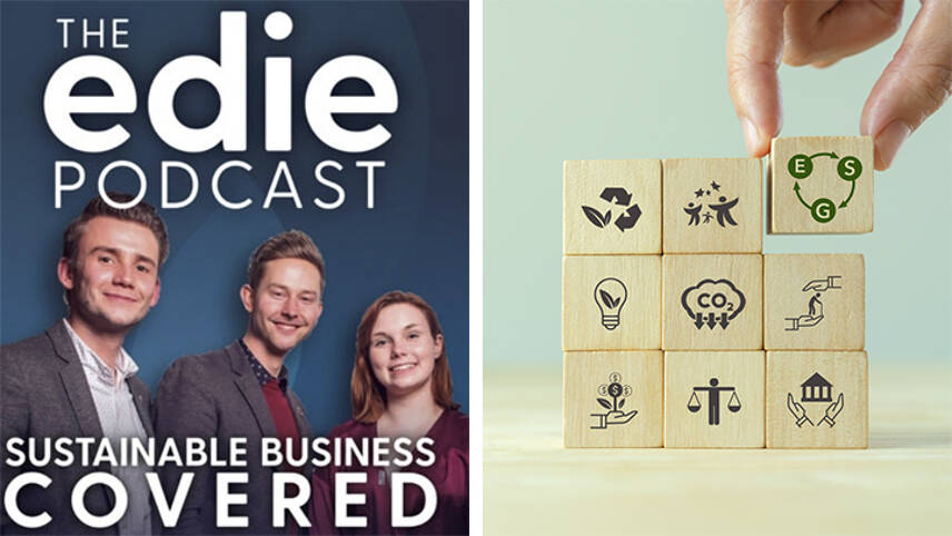 Sustainable Business Covered podcast: How can individual investors help create a sustainable future?