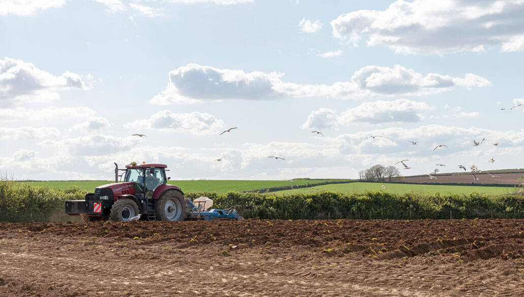UK Government unveils bumper crop of farming subsidies, partly with environmental focus