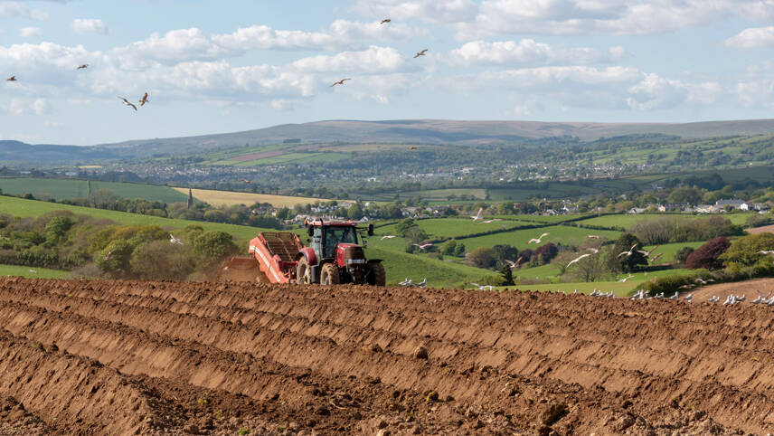 Land restoration and carbon sinks ‘can help farmers save £100bn by 2050’