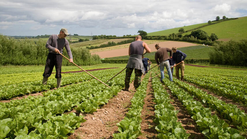 Defra pushed for ‘bold and decisive’ action on sustainable agriculture subsidies